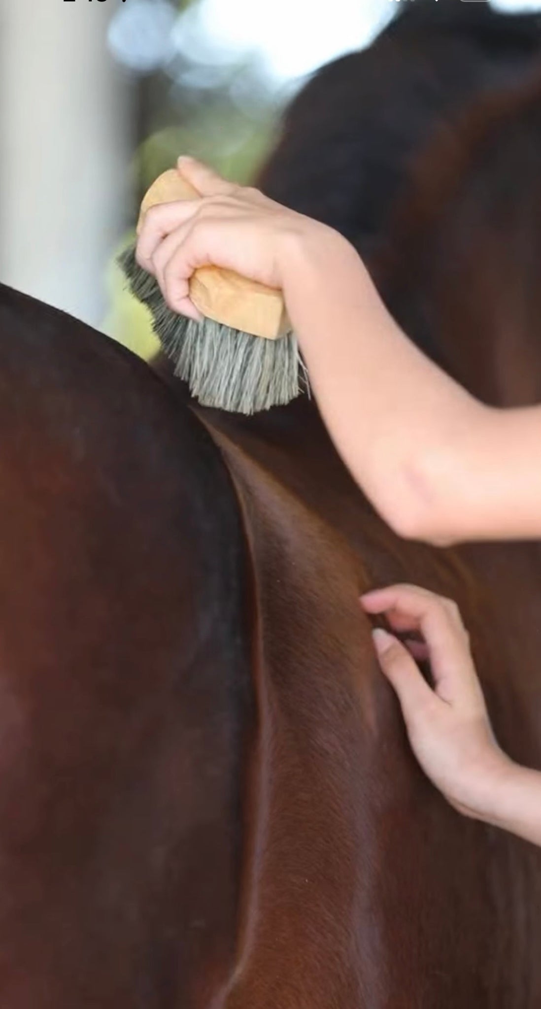 45 Minute Riding Lesson